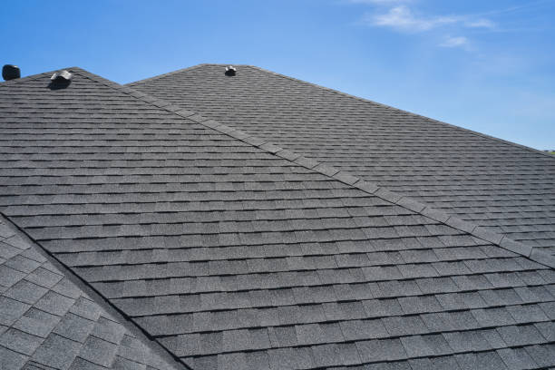 Best Solar Panel Roofing Installation  in Westwood Shores, TX
