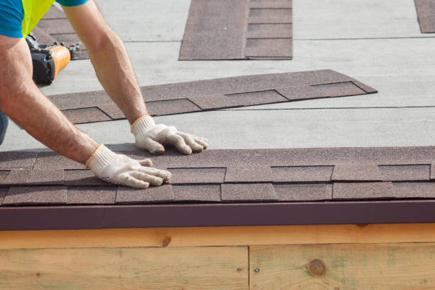 Best Steel Roofing  in Westwood Shores, TX